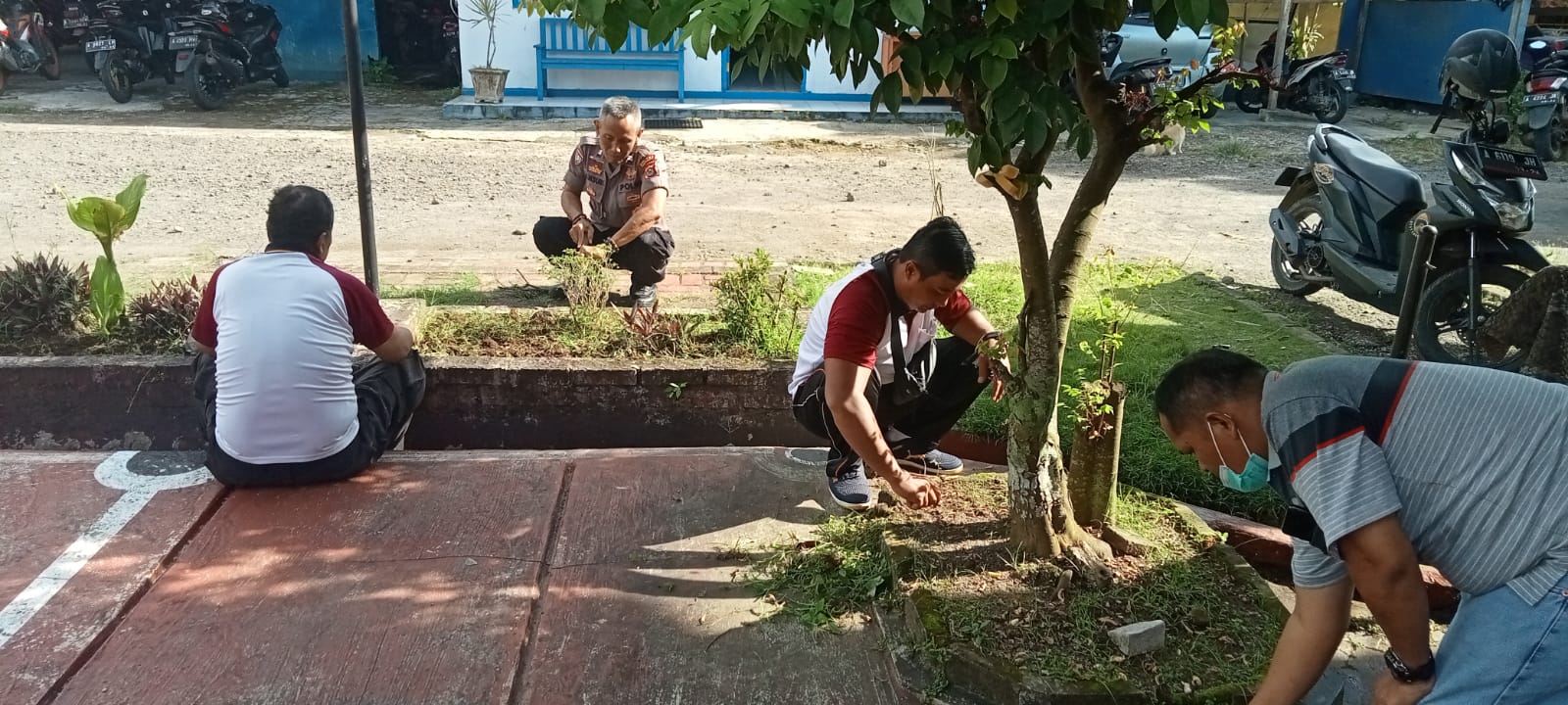 IMG-20211217-WA0019