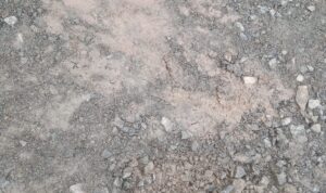 IMG-20221013-WA0037