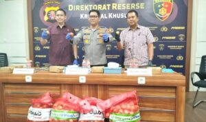 IMG-20240729-WA0005