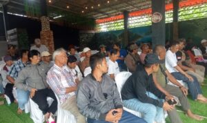 IMG-20241114-WA0011