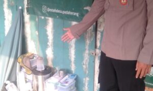 IMG-20241115-WA0002