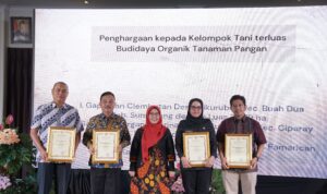 IMG-20241130-WA0008(1)