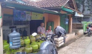 IMG-20250205-WA0012